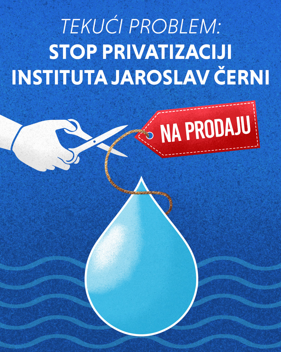 Read more about the article Apel za obustavljanje privatizacije instituta “Jaroslav Černi”