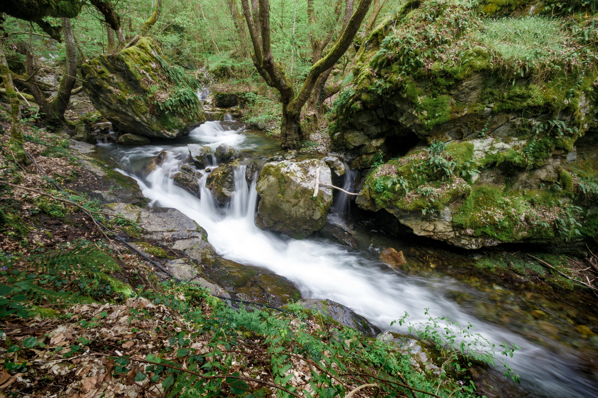 Read more about the article Nezakonita energetska dozvola za MHE Velika Ploča