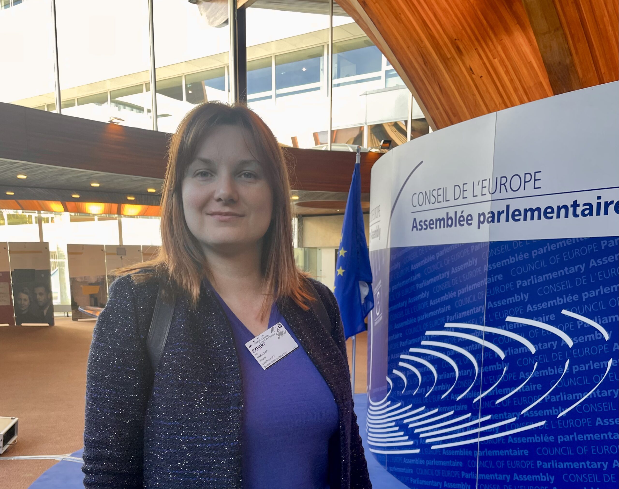 Read more about the article Iva Marković govorila je u Savetu Evrope o hitnoj potrebi za zaštitom branitelja ljudskih prava i aktivista