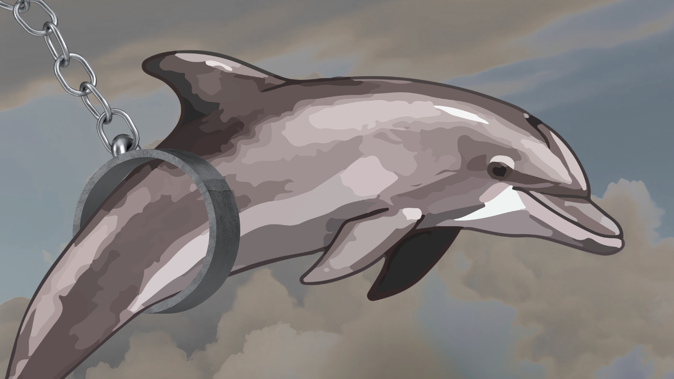 Read more about the article Između zabave i etike: šta znači plan o delfinarijumu u Beogradu