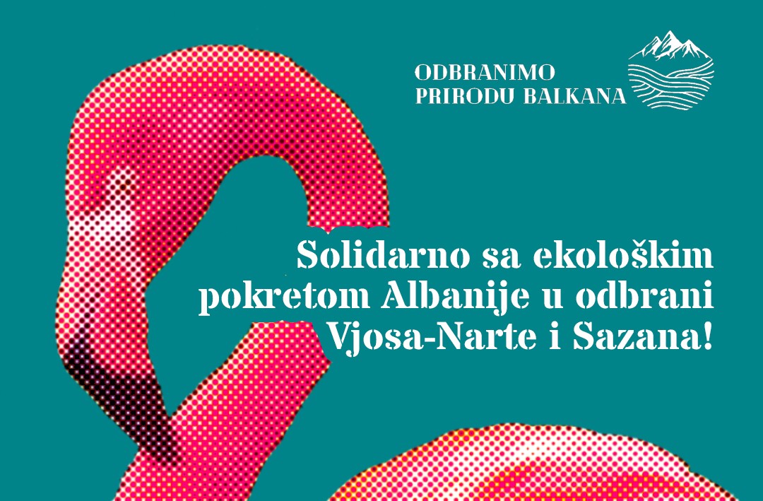 Read more about the article Solidarnost sa ekološkim pokretom Albanije u odbrani prirode Vjosa-Narte i Sazana